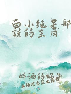 白小纯是哪部小说的主角