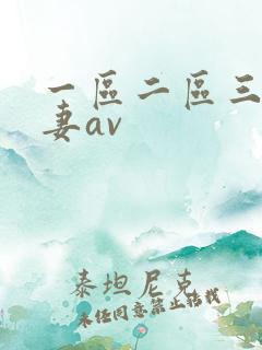 一区二区三区人妻av