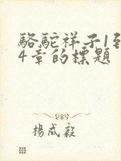 骆驼祥子1到24章的标题
