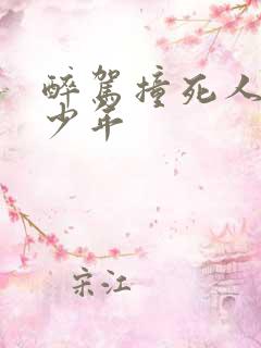 醉驾撞死人判多少年