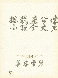 总裁老公坏又甜小说全文免费阅读