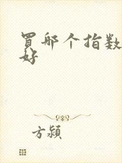 买哪个指数基金好