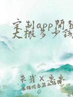 定制app开发大概多少钱