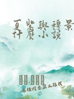 夏紫与穆景天叫什么小说