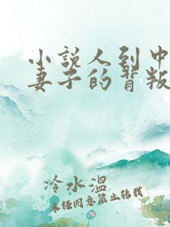 小说人到中年:妻子的背叛免费阅读全本