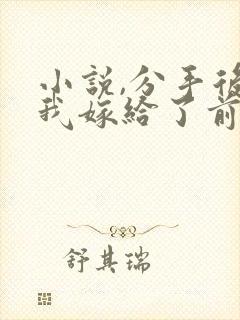 小说,分手后,我嫁给了前男友的小叔