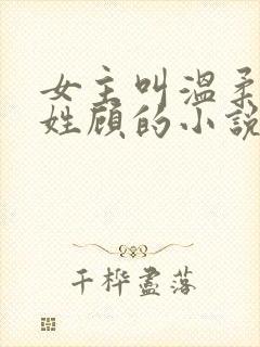 女主叫温柔男主姓顾的小说