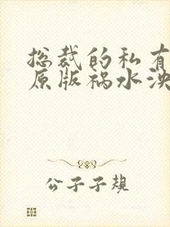总裁的私有宝贝原版祸水泱泱
