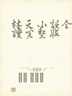 林天小说全文阅读完整版