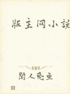 版主网小说