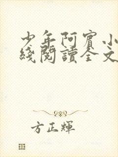 少年阿宾小说在线阅读全文