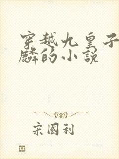 穿越九皇子李龙麟的小说