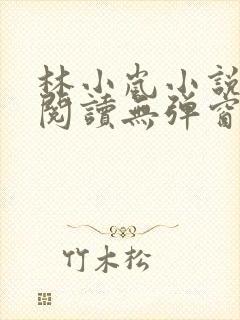 林小岚小说免费阅读无弹窗