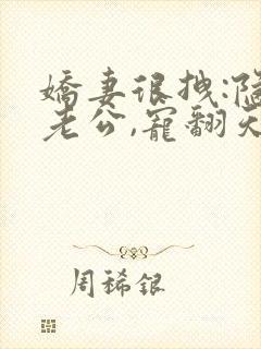 娇妻很拽:隐婚老公,宠翻天