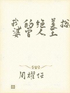 我的绝美总裁老婆曾人王