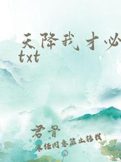 天降我才必有用txt