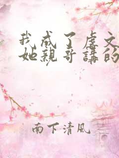 我成了虐文女主她亲哥讲的什么