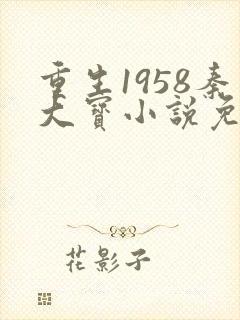 重生1958秦大宝小说免费阅读