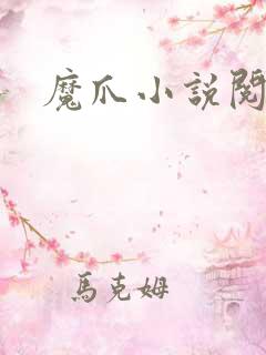 魔爪小说阅读器