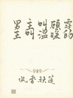 男主叫顾霆琛女主叫温暖的小说