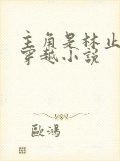 主角是林止陌的穿越小说