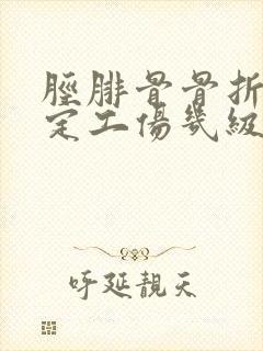 胫腓骨骨折内固定工伤几级