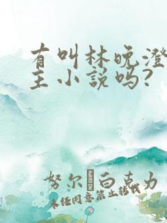 有叫林晚澄的女主小说吗?