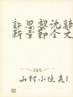许思黎沈辞越最新章节全文免费阅读