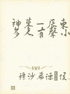 神墓—辰东免费多人有声小说