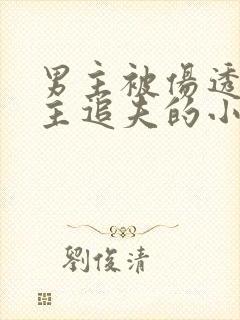 男主被伤透心女主追夫的小说