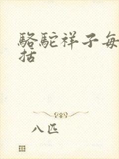 骆驼祥子每章概括