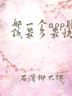 哪一个app赚钱最多最快?