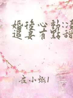 婚后心动:凌总追妻有点甜免费观看