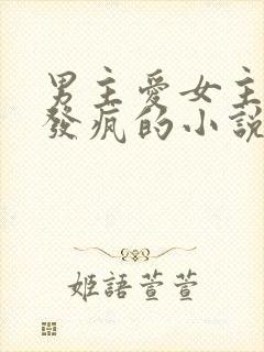 男主爱女主爱到发疯的小说