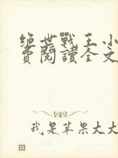 绝世战王小说免费阅读全文