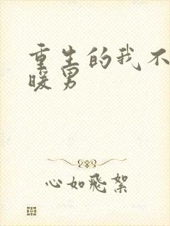 重生的我不再做暖男