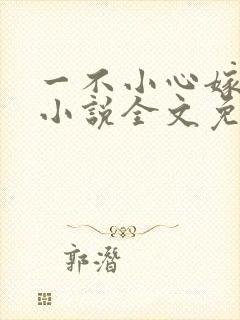 一不小心嫁总裁小说全文免费阅读