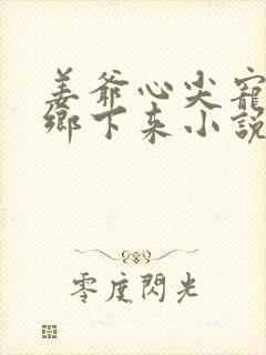 姜爷心尖宠她从乡下来小说在线观看