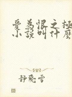 爱为恨之极原著小说叫什么名字