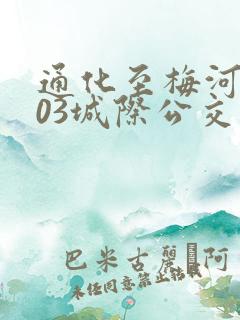 通化至梅河口303城际公交