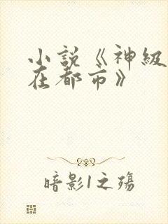 小说《神级高手在都市》
