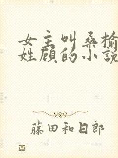 女主叫桑榆男主姓顾的小说