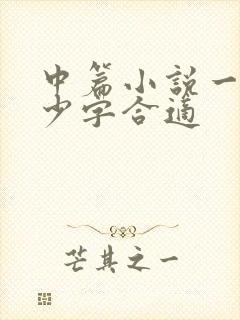 中篇小说一章多少字合适