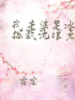 我老婆是冰山女总裁沈浪免费阅读