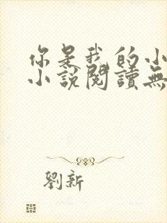 你是我的小确幸小说阅读无弹窗