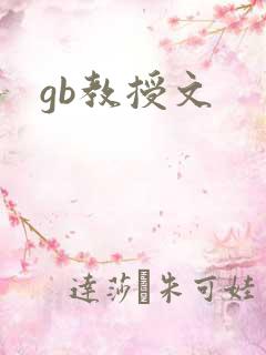 gb教授文