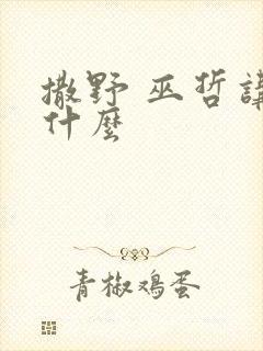 撒野 巫哲讲的什么