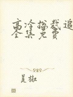 高冷总裁追妻忙全集免费