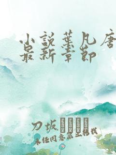 小说叶凡唐若雪最新章节