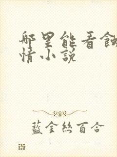 哪里能看蚀骨危情小说